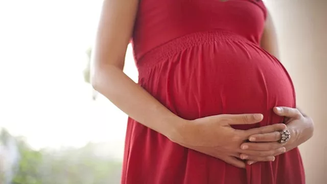 كم عدة المطلقة الحامل وغير الحامل؟.. أمينة الفتوى توضح